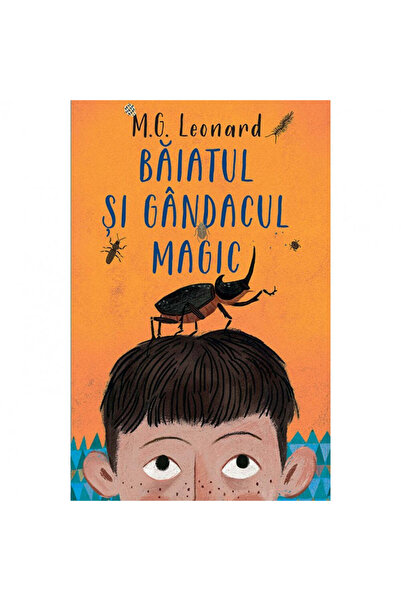 Rao Το αγόρι και η μαγική κατσαρίδα - Lingua