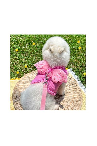 EDA LUXURY BEAUTY 2-Piece Special Dog Cat Luxury Chest Collar & Travel Outfit Set Small Breed Pink Fancy Pet Leash Set
