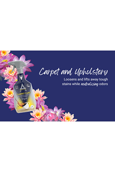 Astonish Leke Çıkarıcı Aktif Oksijenli Köpük 750 ML - Halı, Koltuk ve Döşeme Temizleyici