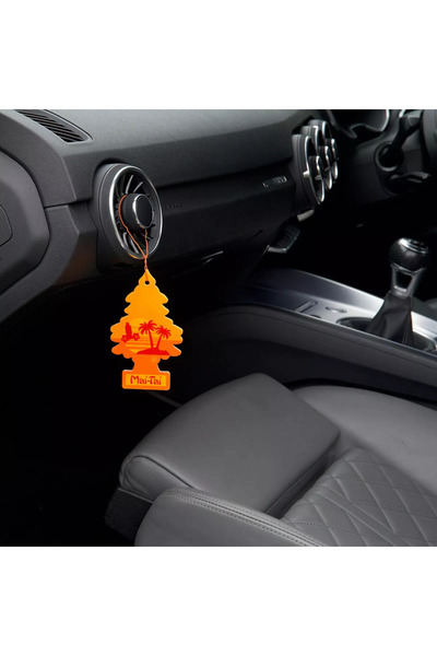 Little Trees Car Freshener Mai Tai Asma Oto Kokusu