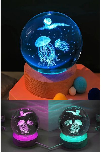 Wolawood Premium Crystal Glass Snow Globe 3D Illuminated Rgb Lamp Wooden Base Led Decorative USB Gift Set