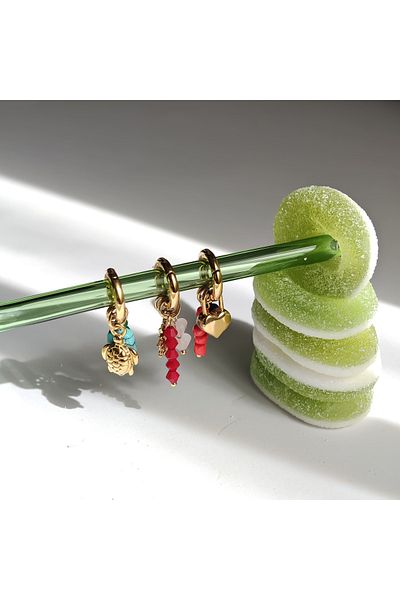 PlateraShop Sneaker lace accessories - personalized set, trendy accessories