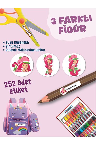 YUNUS COPY School Label Pen Notebook Label Strawberry Girl Themed Special Name Writable Label - 252Pcs