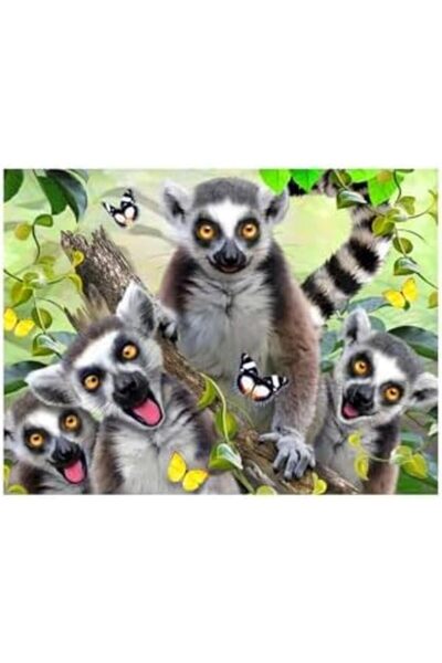 AC BOX 3D Lemur Plush and Selfie 48 Piece Puzzle 15801 Ac Box 861931