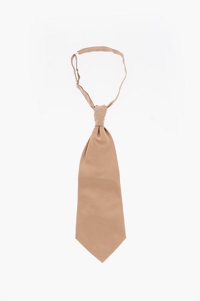 Corneliani Solid Color Silk Ascot Tie