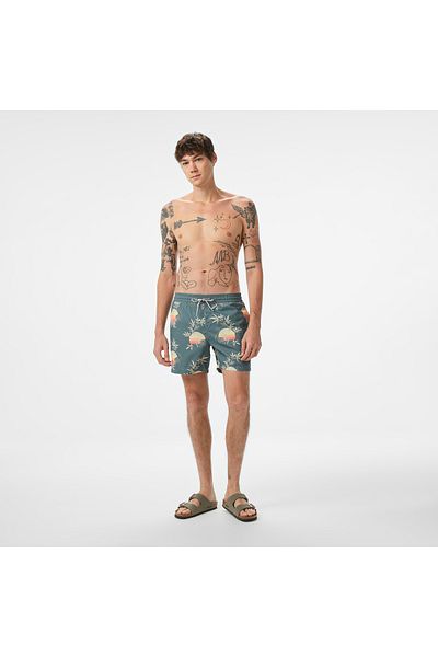 BİLLABONG Vacay lb Men's Blue Volley Short Men's Volley Short Ebyjv00144