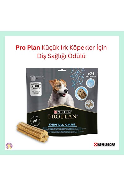 Pro Plan Dental Care Diş Sağlığı Küçük Irk Yetişkin Köpek Ödül Maması 345gr