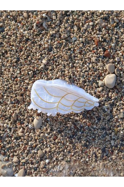 Reorah Collection Snail Shell Buckle