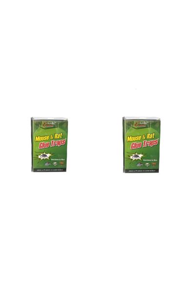 COBI SMART® Pack of 2 glue traps on cardboard for mice - COBI SMART®