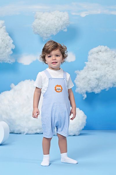 Miny Center Gingham Baby Boy Rompers Set of Two
