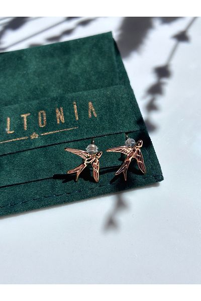 Miltonia Swallow Earrings
