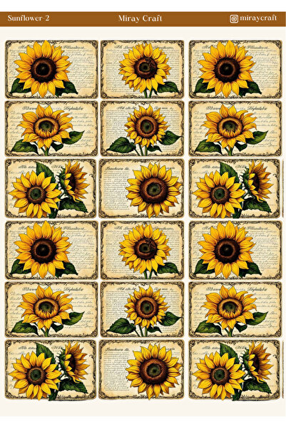 MirayDesign 1 Adet Ayçiçeği Temalı Sticker – 12x17 cm Scrapbook, Bullet Journ...