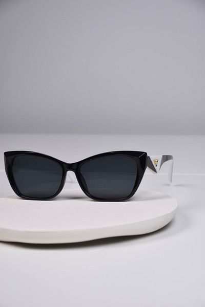LOOKUP Sunglasses Cat Eye Unisex Uv400 Protected New Season with Cleaning Cloth and Case Gift