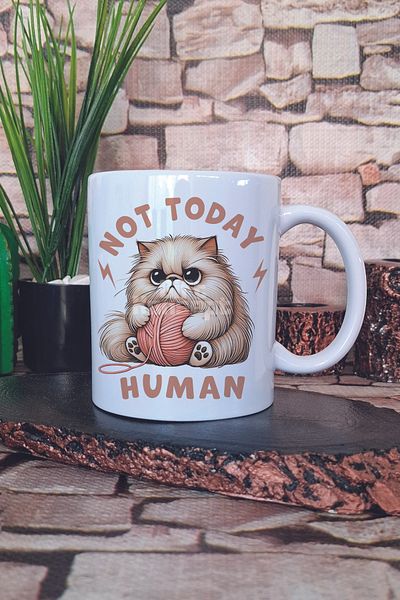 giftkonsept Not Today Human Printed Funny Cat Cat Lover Gift Printed Tea Coffee Presentation Mug Cup