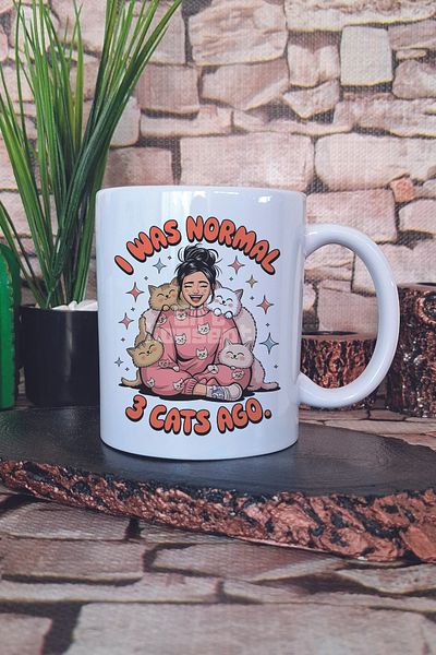 giftkonsept Cat Funny Humorous Cat Lover Cat Owner Fun Gift Printed Tea Coffee Presentation Mug Cup
