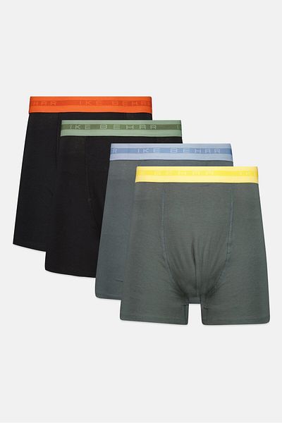 Ike Behar Men 4 Pieces Brand Logo Boxer Briefs, Multicolor