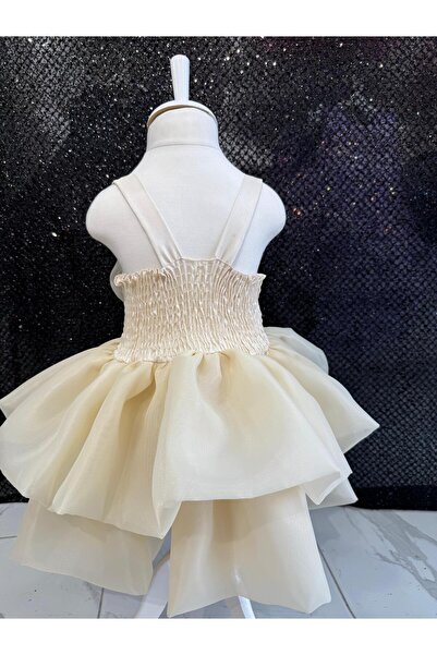 BONİTA ÇİÇEKLİ GÜLLÜ TÜL ŞIK KIZ ÇOCUK ABİYE ELBİSE