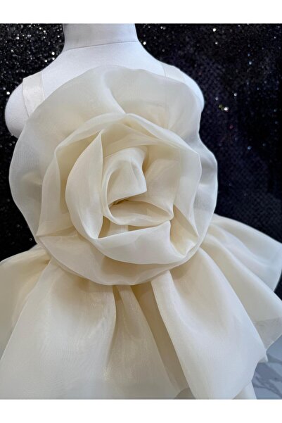 BONİTA ÇİÇEKLİ GÜLLÜ TÜL ŞIK KIZ ÇOCUK ABİYE ELBİSE