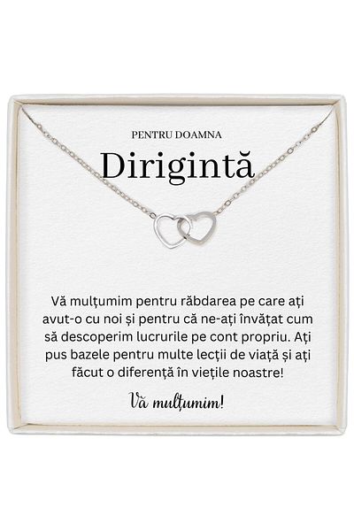 The Jewel Heart Heart Necklace With Delicate Design, A Way to Thank Your Conductor, 39+5 cm