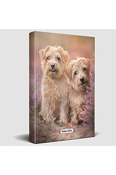 AMAZON TOHUM White duo - indefinite plalama notebook
