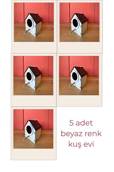 WoodenZoo Wooden Decorative Bird House Nest, Nest, Balcony, Garden Accessory Set of 5 (White)