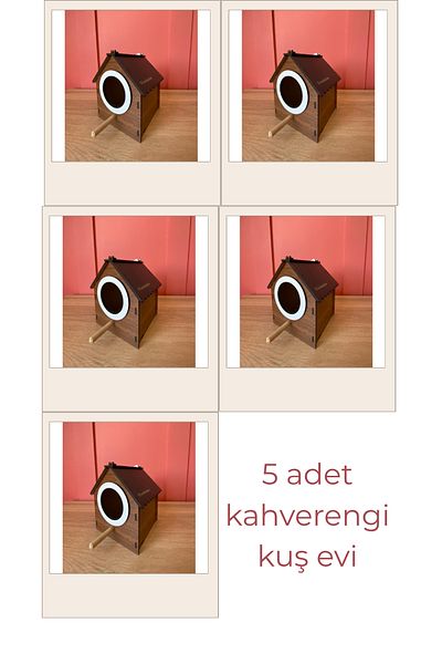 WoodenZoo Wooden Decorative Bird House Nest, Nest, Balcony, Garden Accessory Set of 5 (Brown)