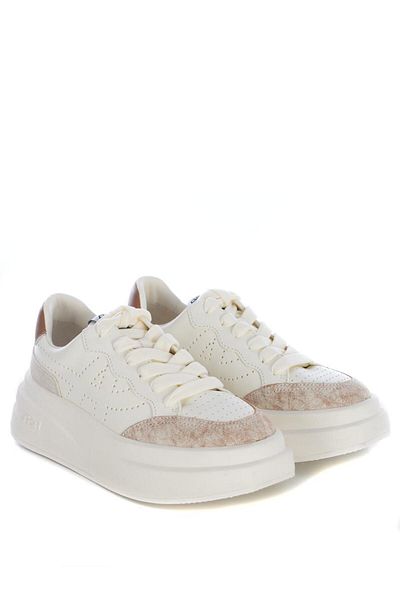 Ash Ash Sneakers "Impuls"