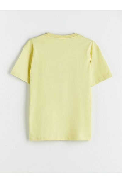 LC Waikiki Crew Neck Boy's T-Shirt