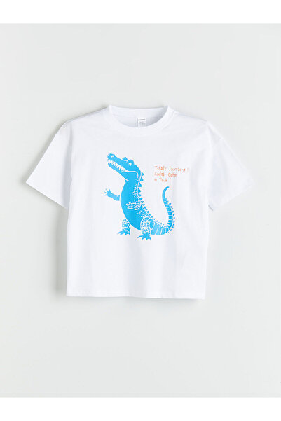 LC Waikiki NEVAVM Prepoznatljiva majica za dečake sa printom dinosaurusa