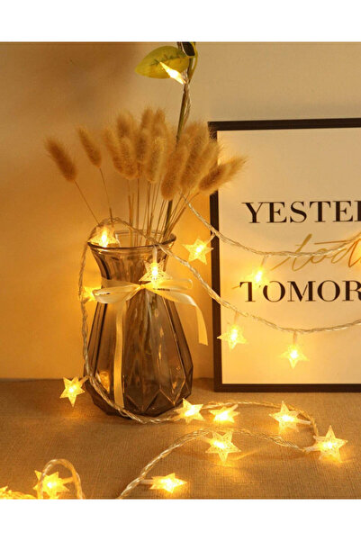 Adispotg Instalație cu 40 LED-uri Adispotg, plastic, alb cald, steluțe, 6 m