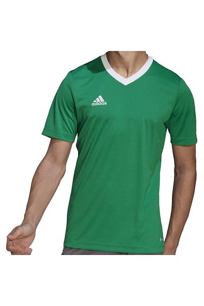 adidas Entrada 22 T-shirt for men