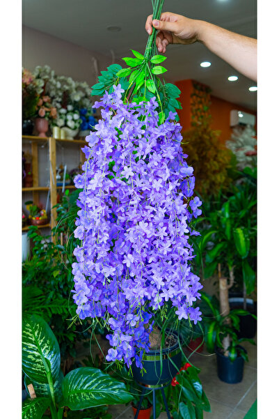 BK Peyzaj tasarım MOR SARKAN AKASYA