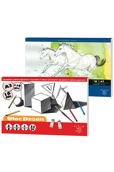 PIGNA Drawing Pad, A3, 110g, 16 Files,