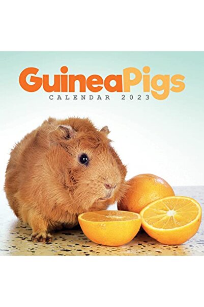 Pearson Power Maths 2nd Edition Practice Book 2A