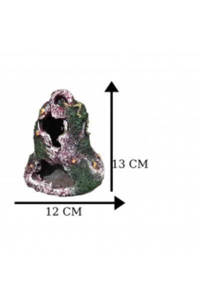 Fatih-Pet D549 Köklü Kaya