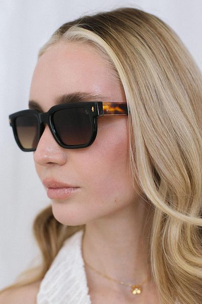 Bilge Karga Ronald Black Brown Gradient Sunglasses