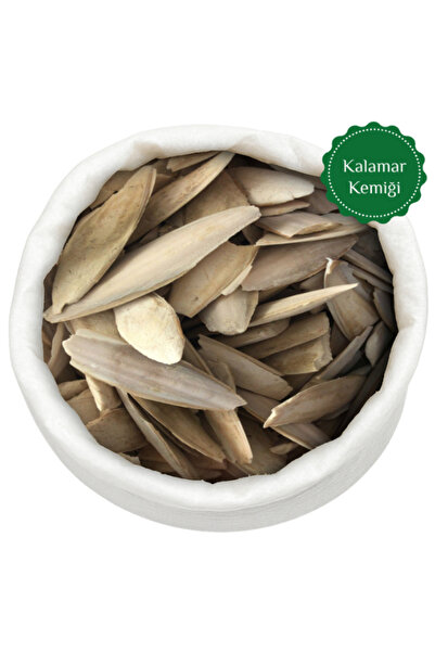 shop Kuşlar Için Mürekkep Balığı Kemiği Kalamar Kemiği 100GR