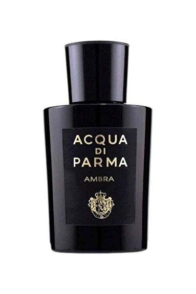 Generic Ambra EDP 100ml