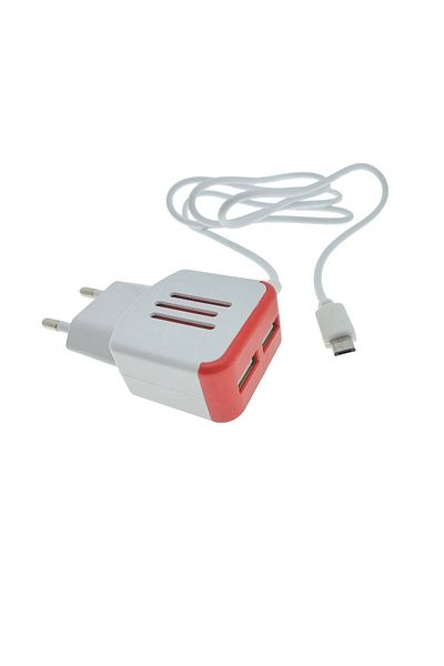 OEM Euro wall charger, 2 USB ports, DC 5V 3.1A, LED, 85 cm cable with microUSB connector