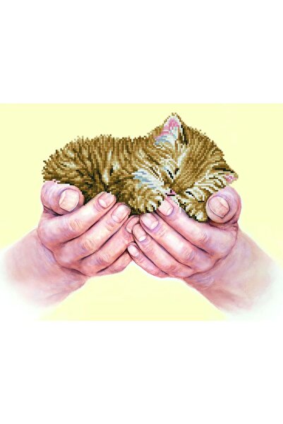 OEM Set de creatie mozaic Diamond dotz Precious Kitten