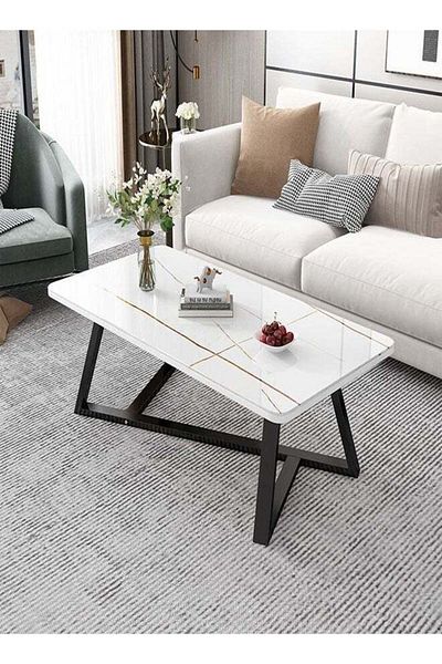 Raffine Modern Multifunction Nordic Design Rectangular Steel Frame Sofa Center Table