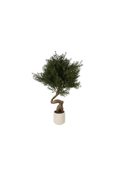 Mikasa Moor Cedar Tree Bonsai 95cm
