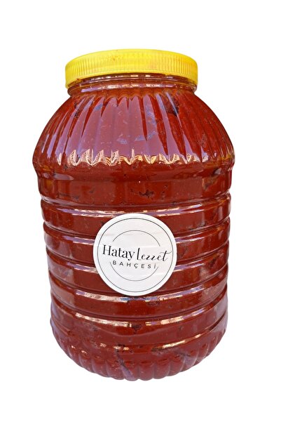 Hatay Lezzet BAHÇESİ Hatay Domates Salçası 5 kg