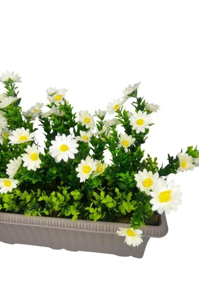 Nettenevime Yapay Çiçek Papatya Mokka Küpeşte Askılı Saksıda Balkon Çiçeği