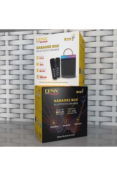 Denx DX2429 - مكبر صوت بلوتوث مزود بميكروفون مزدوج