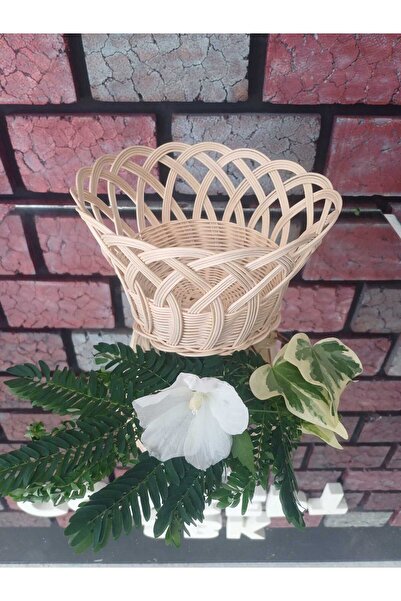 SBK Concept Rattan Bamboo Fruit Presentation Basket
