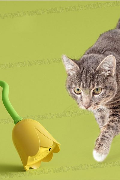 Yenilig Big Fun for Little Feet! Let Your Cat Play for Hours with the Moving Flower Cat Toy