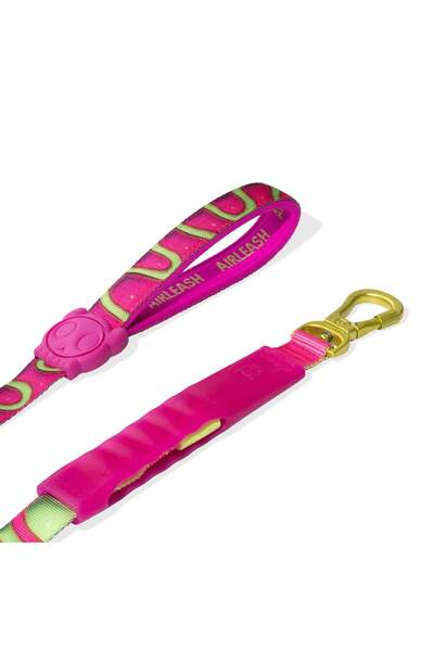 Zee.Dog House of 3D Jelly Airleash Gezdirme Tasması - Zee.Dog