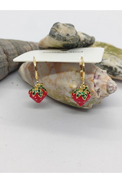 Cadde Dükkanı Çİlekli Sallantılı Taşlı Çelik Küpe