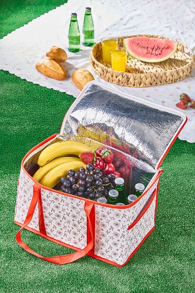 Serstil Small Size Thermal Picnic Bag |   Thermal Insulated Cooler Organizer Shopping Bag - 35X20X20 cm